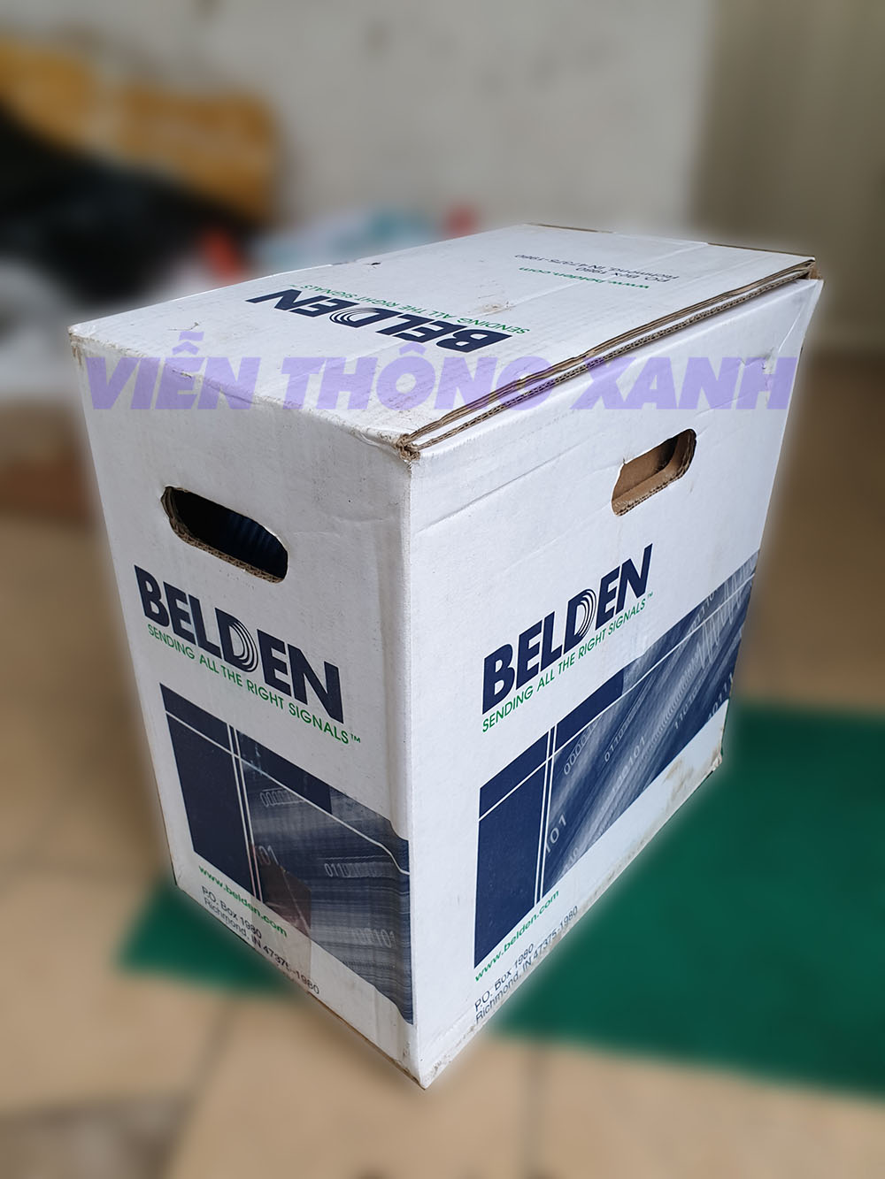 Cap-mang-belden-Cat6-UTP-3