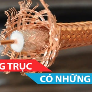 Cap dong truc co nhung loai nao