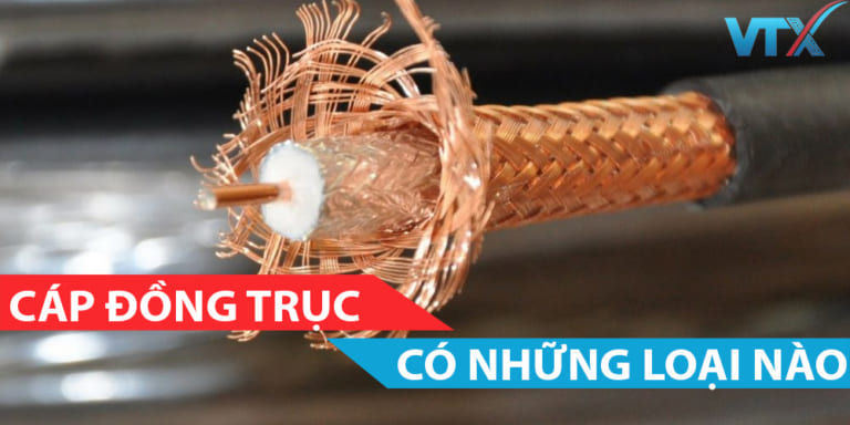 Cap dong truc co nhung loai nao