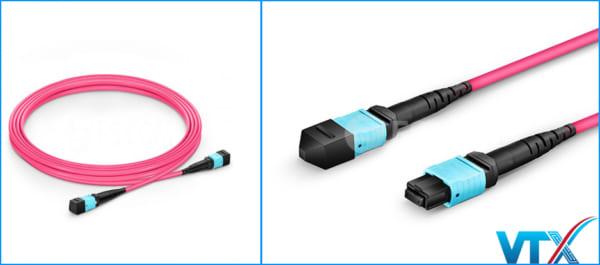 Dây nhảy quang MTP Female to MTP Female OM3-OM4