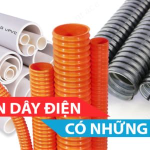 Ong luon day dien co nhung loai nao