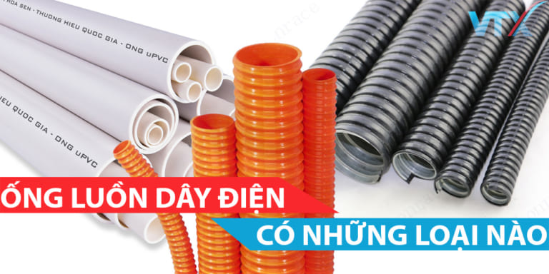 Ong luon day dien co nhung loai nao