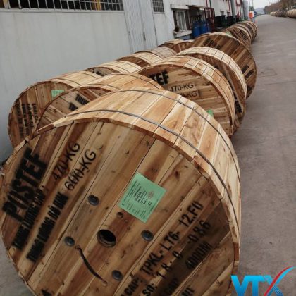 Cap quang 12FO - 12 soi