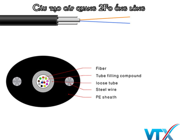 Cáp quang Singlemode 2fo ống lỏng