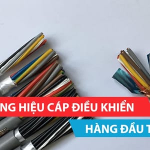 Top 3 thương hiệu cáp điều khiển hàng đầu Việt Nam