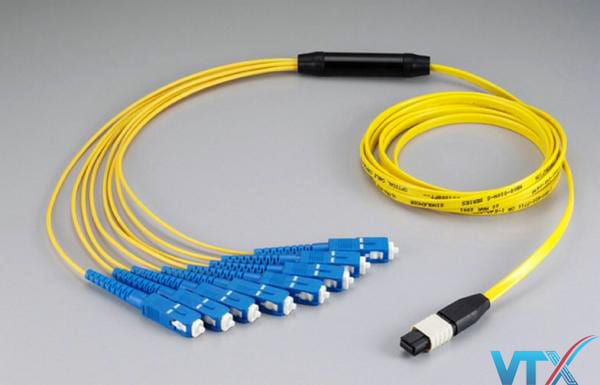 Dây nhảy quang Multi Core 12FO Single mode