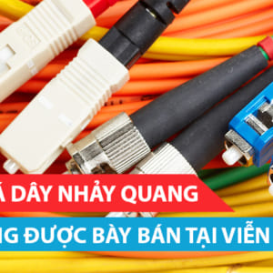 bao-gia-day-nhay-quang-duoc-bay-ban-tai-vien-thong-xanh (2)