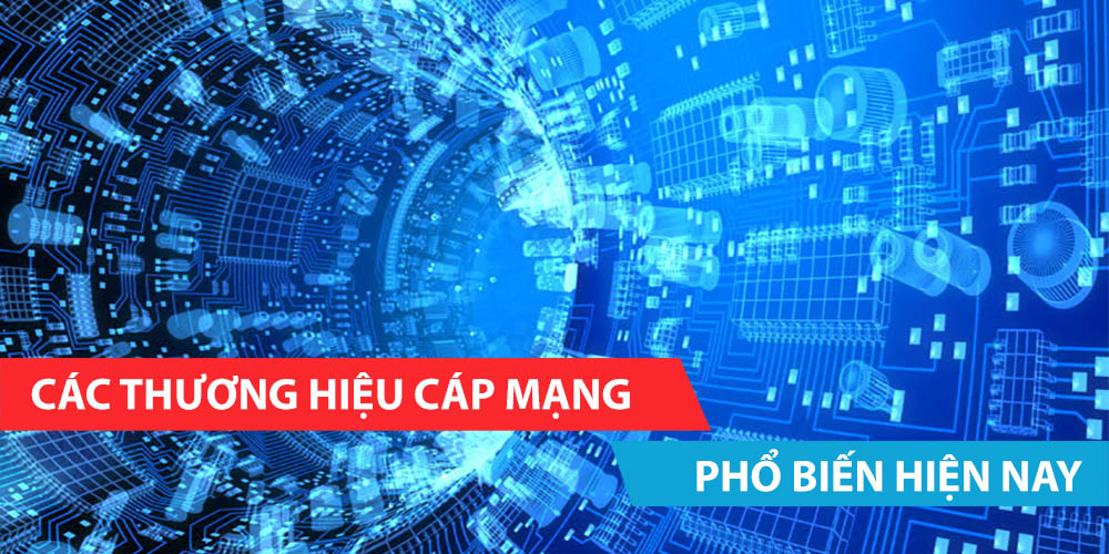 cac-thuong-hieu-cap-mang-pho-bien-nhat-hien-nay