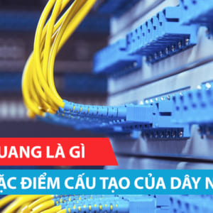 Dây nhảy quang là gì? Đặc điểm cấu tạo của dây nhảy quang