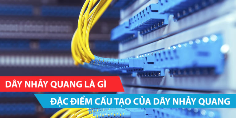 Dây nhảy quang là gì? Đặc điểm cấu tạo của dây nhảy quang