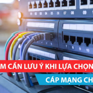 Những điểm cần lưu ý khi lựa chọn cáp mạng cho hệ thống