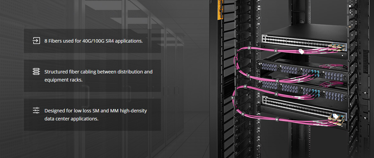 Day-nhay-quang-MM-OM4-MTP-MTP-1