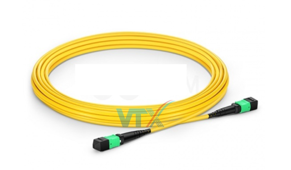 Dây nhảy quang SM MTP-MTP nhập khẩu VTXVN (1)