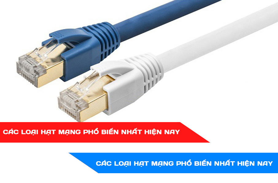 Các loại hạt mạng phổ biến nhất hiện nay hạt mạng chính hãng chất lượng tốt, giá rẻ