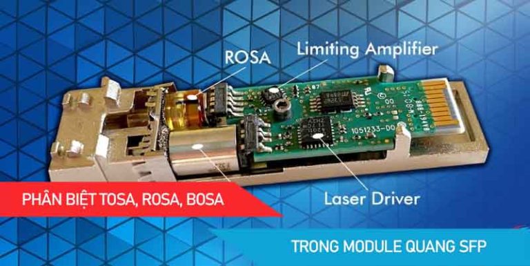 Phân biệt TOSA ROSA BOSA