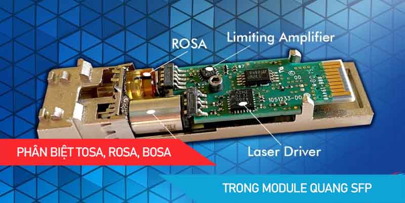 Phân biệt TOSA ROSA BOSA