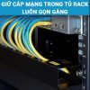 Vai trò của thanh quản lý cáp 19inch Maxtel