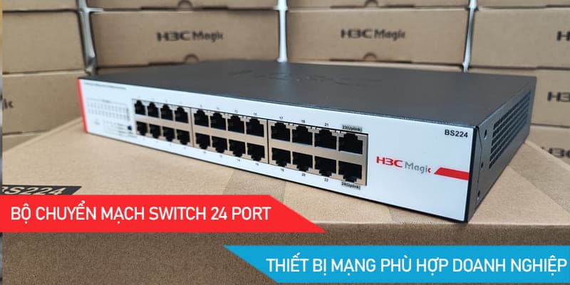 Switch 24 Port