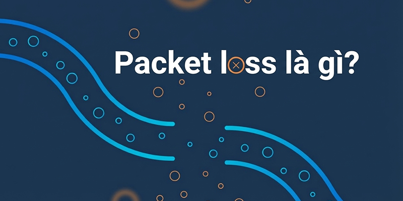 Packet Loss là gì